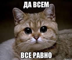 QUNMQdVzcBF8i9Sb2jEfJZQ79r-dzb8EUdhCHHhx9JvFnAiUd4.jpg
