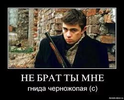 QuTSTF5CrTiK5piScqHLipcILmLyfYFdBKL4J7ERI1AqQu77BD.webp