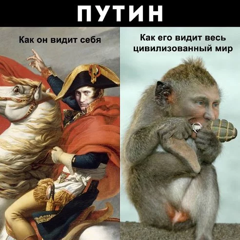 qvrO0q6WKSM.webp