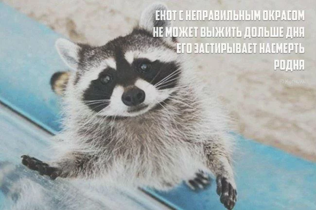 QWsrRTlxSAw.webp