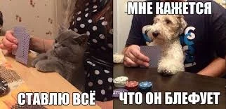 QXFzNNDX-FfY-AmuJ38dLllkHtDqNke8Z3mHPOs1b19SHBzBM2.webp