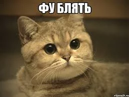 QzSr2y7603yV2Plu16FvfTAvVBXRiSDBtTiyzhz4xi6lGVu97d.webp