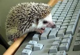 R-pGtC6ez20VFcSNRaLUXfXSGK6jcT3RcoFXH1zCqiUCpXl2Ew.webp