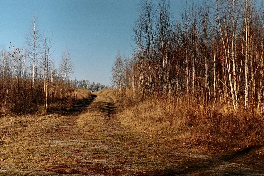 r001-02317.webp
