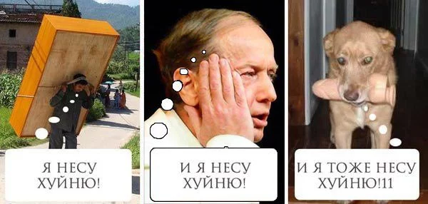 R56cfUCvPJ0.webp
