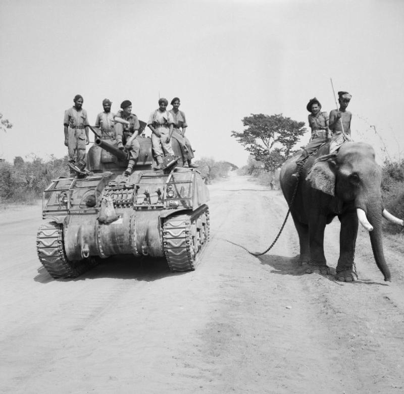 r_and_Indian_crew_encounter_elephant_near_Meiktila.jpg