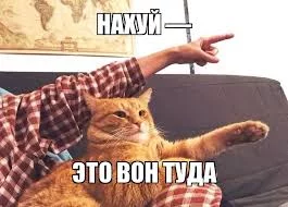 R_C6OtwDn5F_9SX6jUpOFIVcMLrxw9hzPIgwUsdhwk7Sv80vyO.webp