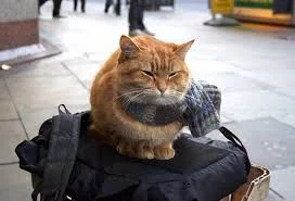 RA8QZQiIm8YKqpOeateh8uL_ySutMFuw6lWLvXSY3bToKxTwhJ.webp