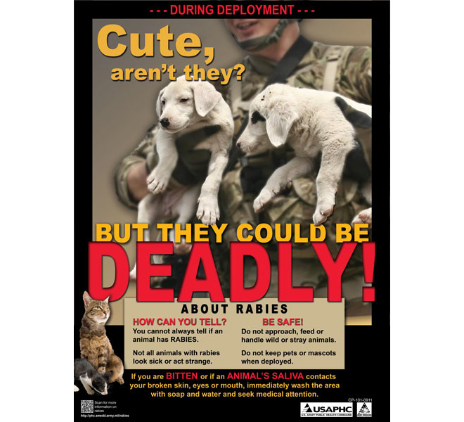 rabies-1.jpg