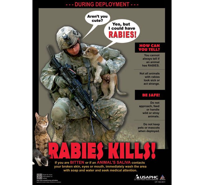 rabies-3.jpg