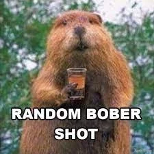 Random Bober Shot.webp