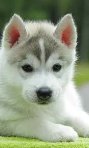 RcCRTnhp8ZPfW6jux8_l11Em1g4r3798xRXlSzwf4VnghT7qjy.webp