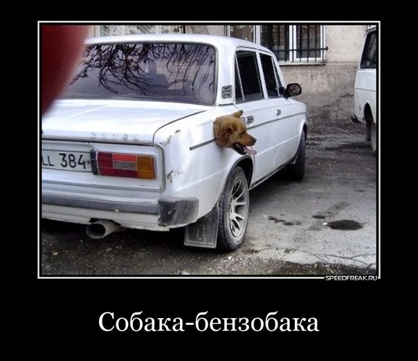 RCrQkamCnsQ.webp