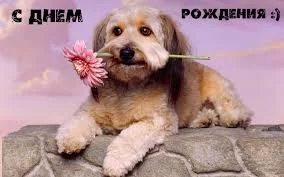 RdPU_DtMDIPlUy_xtEMnw5DBwRDw4AHlzH_ubP0Ukq8UFMfs5m.webp