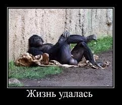 RDRcP74GoGwnXDoVykagkUe5C0ks2pYyJtZ7g2gv3jzVvKn27B.webp
