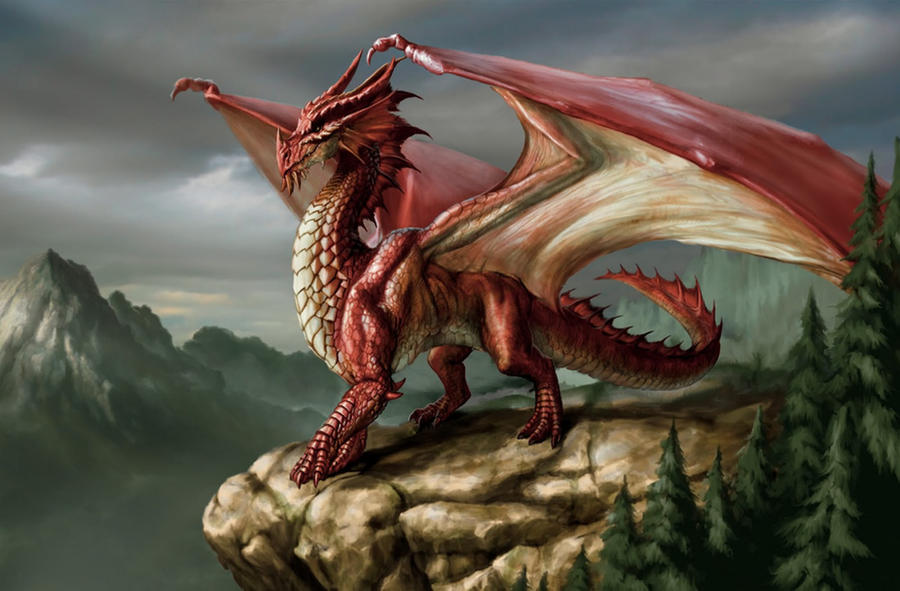 red_dragon__dnd_by_madamenightshade-d53huy0.jpg