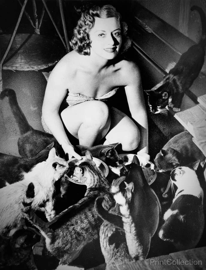 RetroPets-12.webp