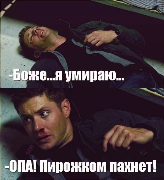 rF0W69mlFww.webp