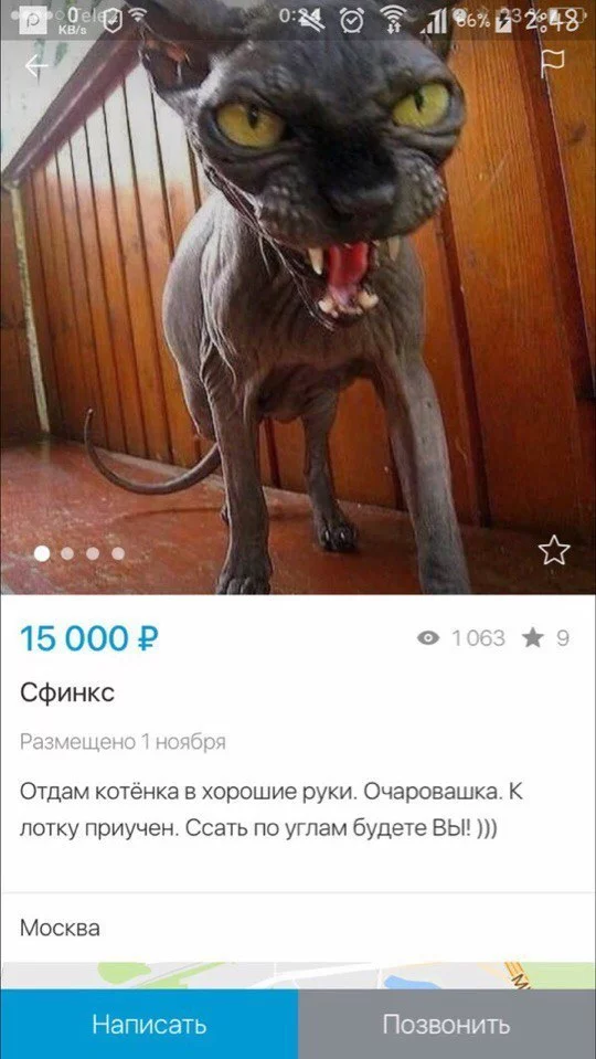 rfdccfnpX8w.webp
