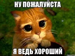 RGv3y1i-aKYAOpcGAENCuyiPGx9hZKDJzpmrPWsJM-RaBy4rf-.webp