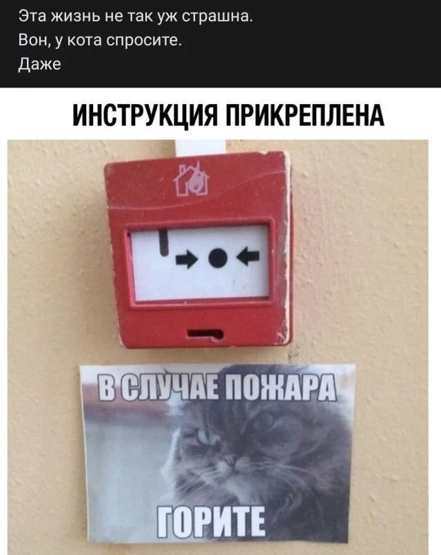 rifmy-iz-socsetey-15-foto_4.webp