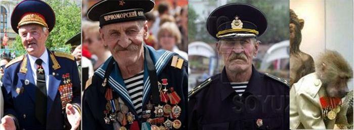 ris_vov2.jpg
