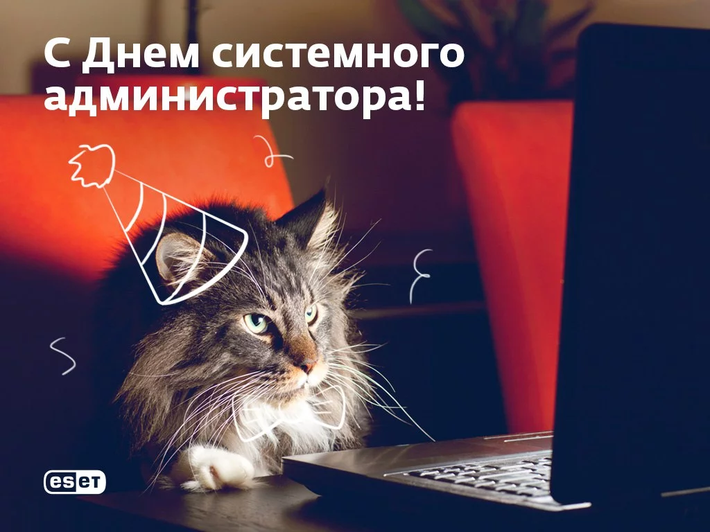 RjcQSTjsfeA.webp