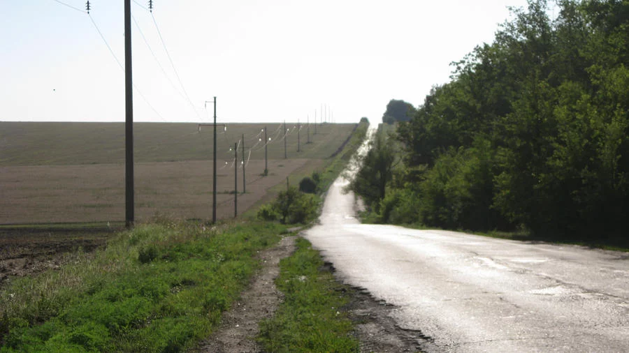 road_by_a_sha_f-d5xrwnn.webp