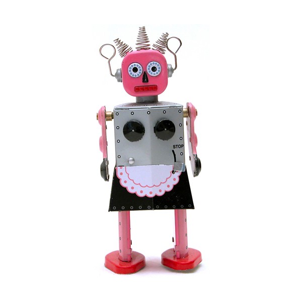 robot-roksi-domoxozjajka.jpg
