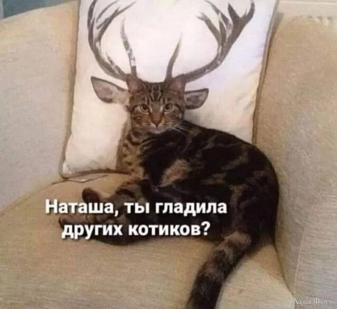  рога.webp