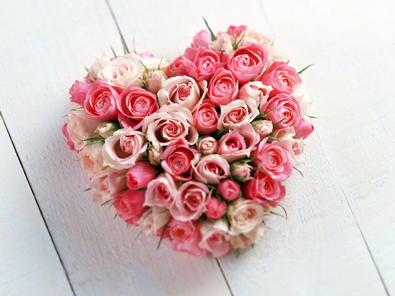 rose.webp