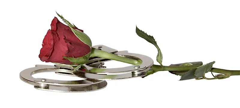 rose_schelle_frei_low.webp