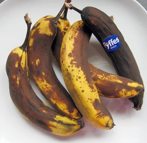 rotten-bananas1.webp
