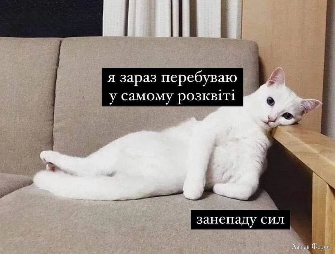  розквіт занепаду сил.webp