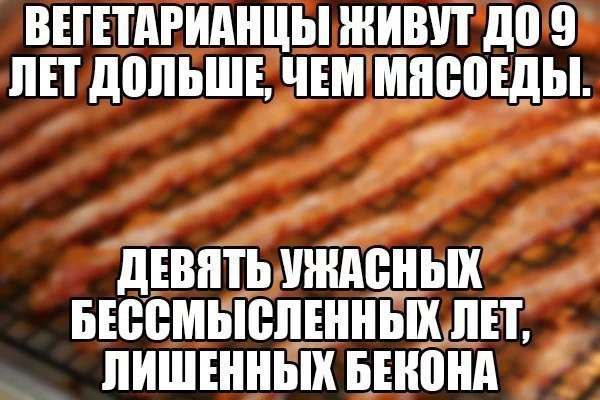 rp0ipAEWwis.webp