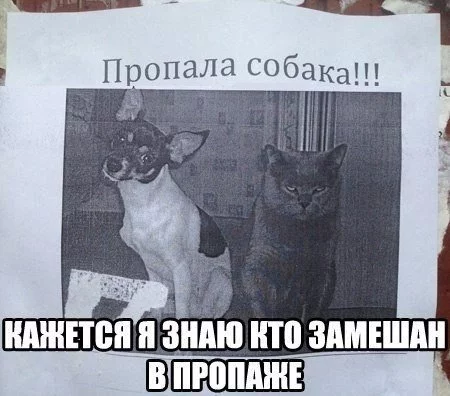 rQRvwaPVhes.webp