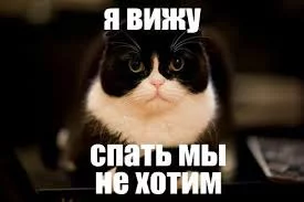 rrmDys91sYI.webp
