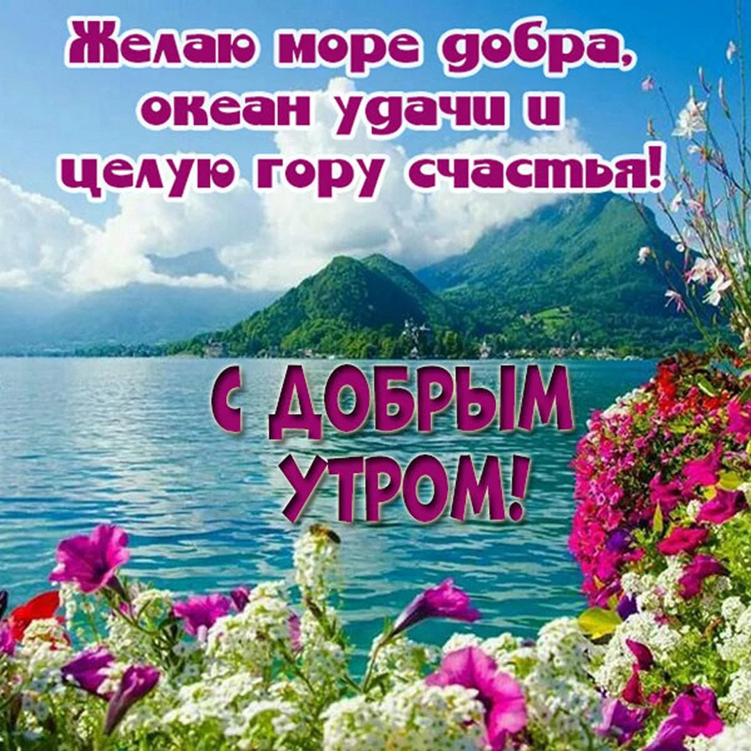 rtinka-s-dobrym-outrom-priroda-krasivoe-pozhelanie.webp
