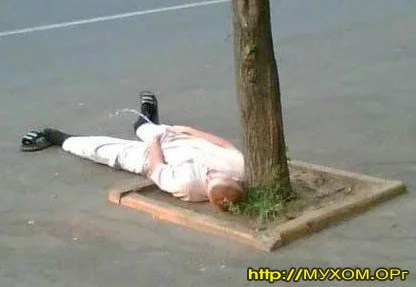 russian.webp