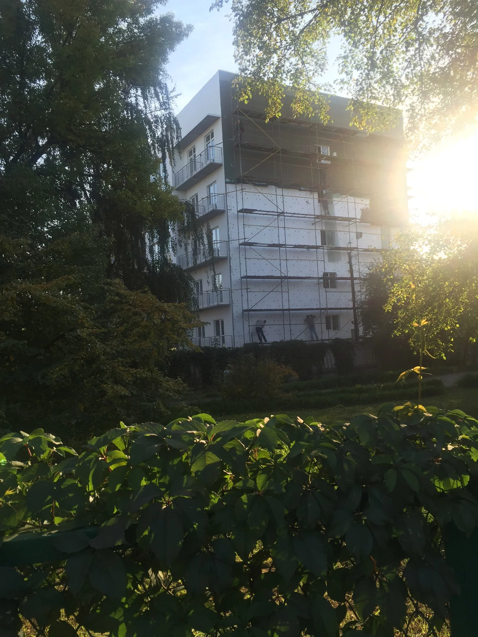 RX_MykOhnns.webp