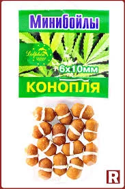 RXqrct9vLj2irOvxK3pG4o9bMkWi1JvScmSXFy_meDcxFMoZiy.webp