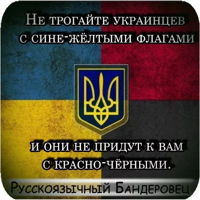 RY0--LNiQ6M.webp