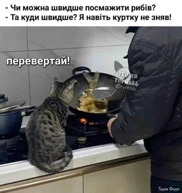  рибів.webp