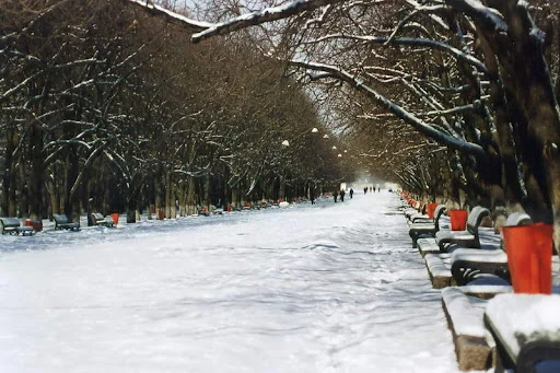 Rz063.webp
