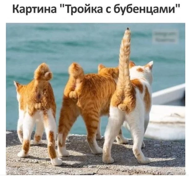  с бубенцами.webp
