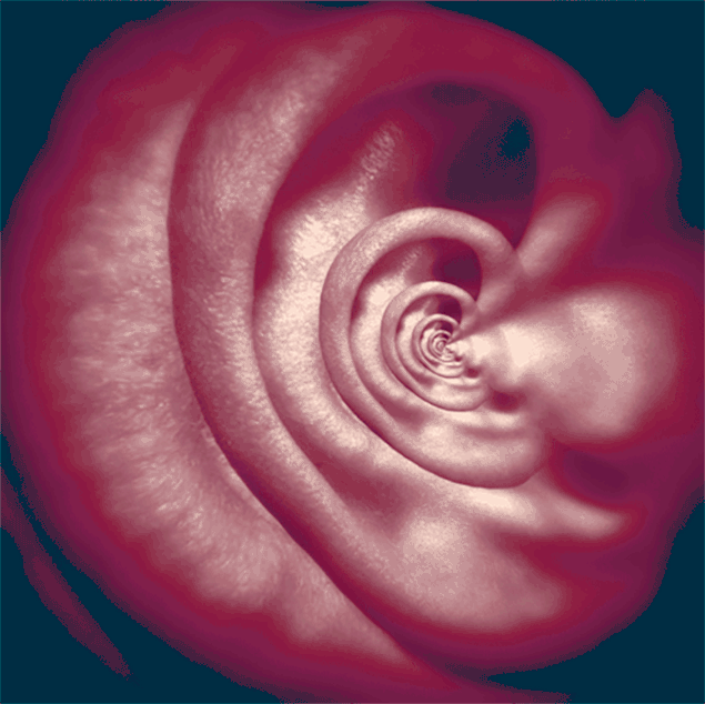 s-e624b06651b1b5df5638079bf98aa8d34a27229a.gif