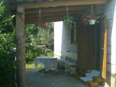 s31478843.webp