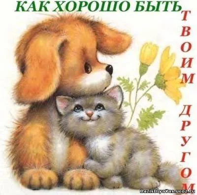 s31827511.webp