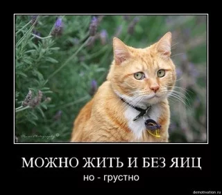 s320x240.webp