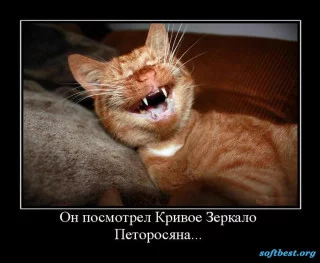 s320x240.webp